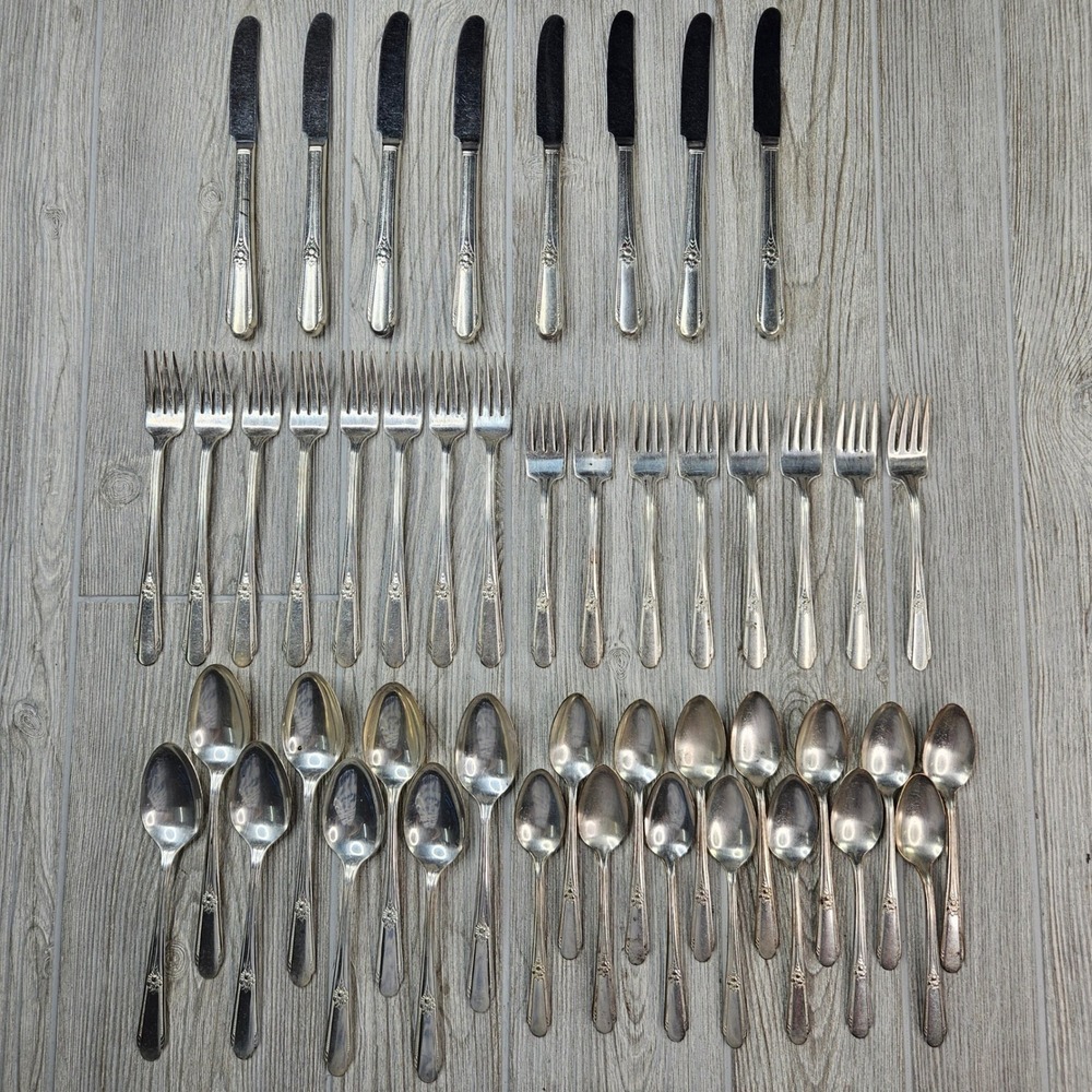 Wm Rogers Memory Hiawatha Silverplate Flatware Set 46 Piece Vintage IS Floral